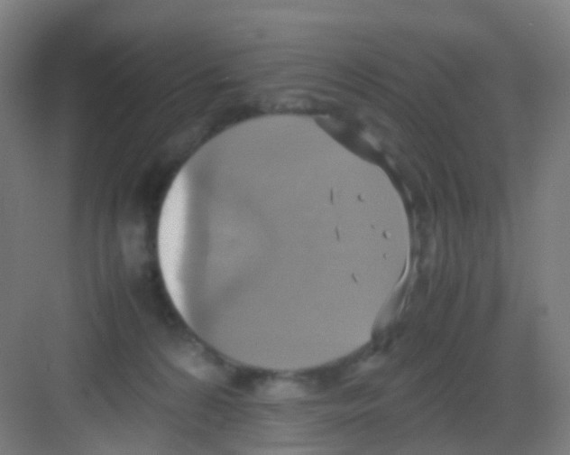 X0000081370224200702082354