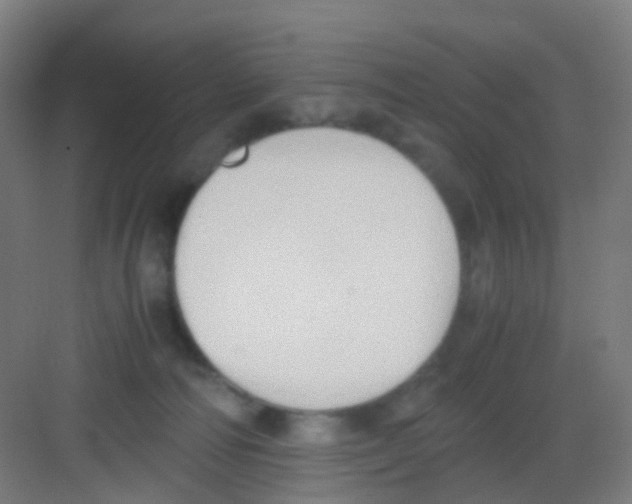 X0000081370226200702082354