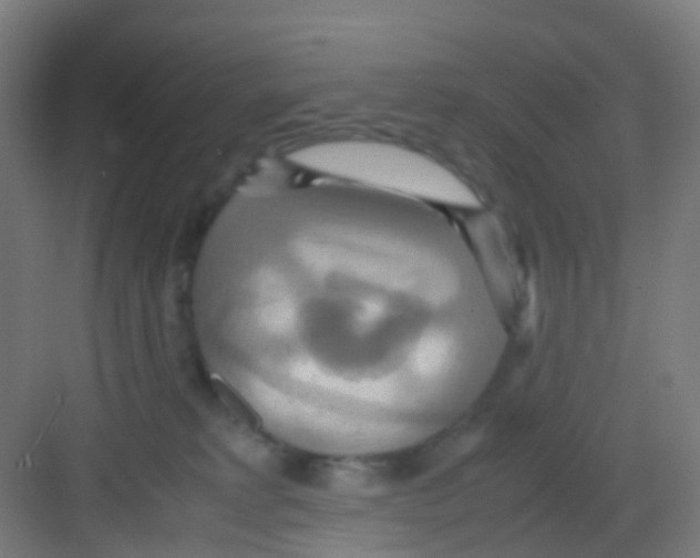 X0000081370229200702082354