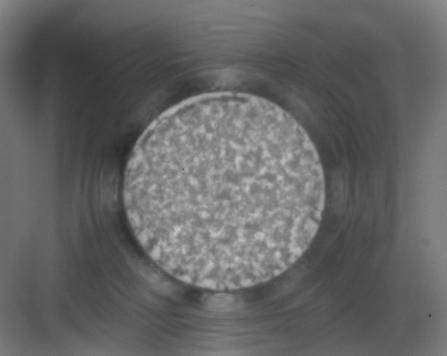 X0000081370230200702082354