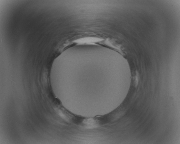 X0000081370231200702082354