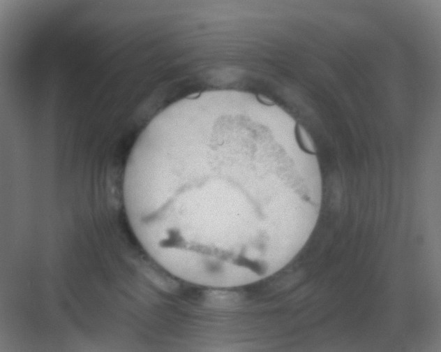 X0000081370234200702082354