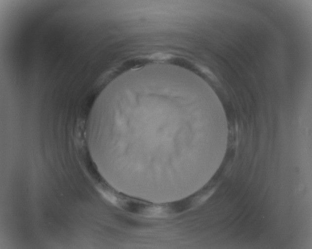 X0000081370237200702082354