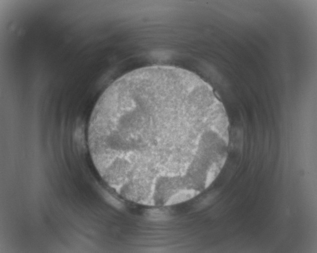 X0000081370238200702082354