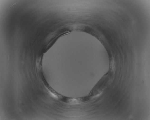 X0000081370239200702082354