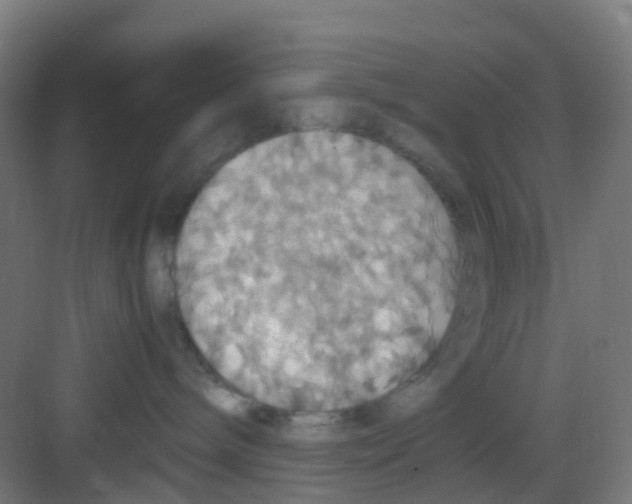 X0000081370240200702082354