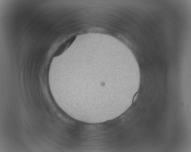 X0000081370241200702082353