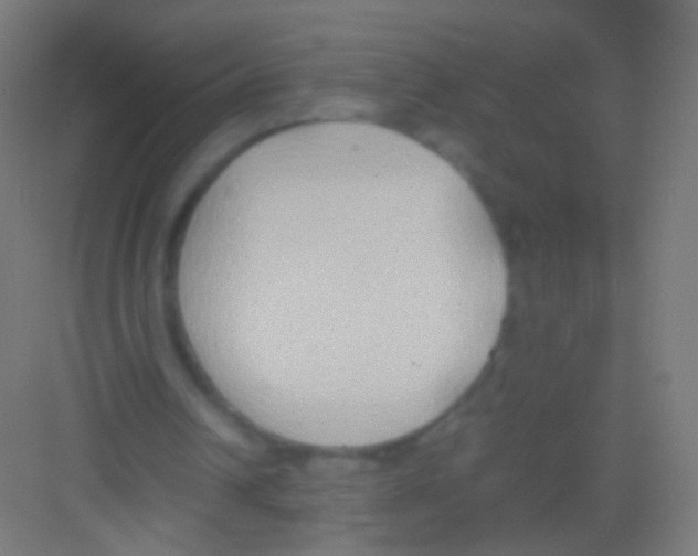 X0000081370242200702082353