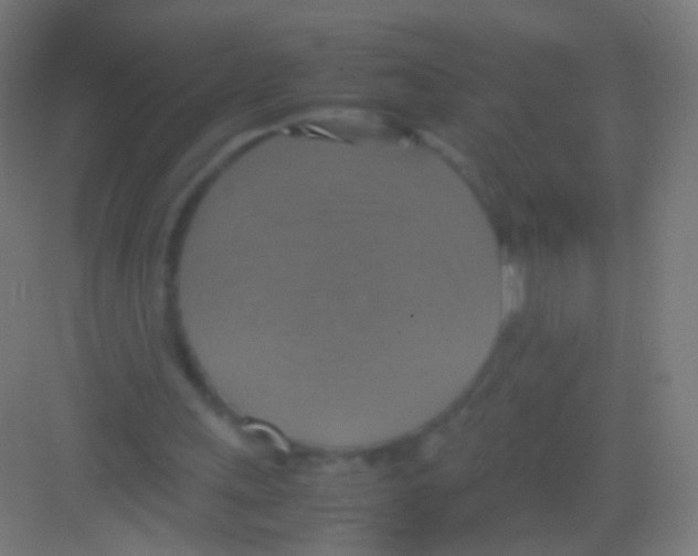 X0000081370243200702082353