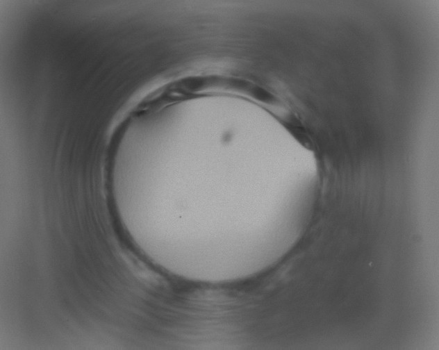 X0000081370244200702082353