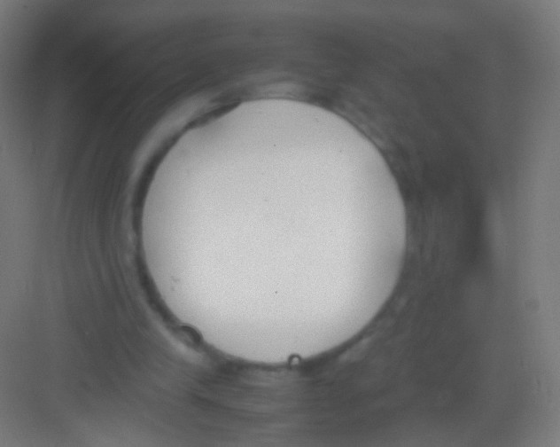 X0000081370245200702082353