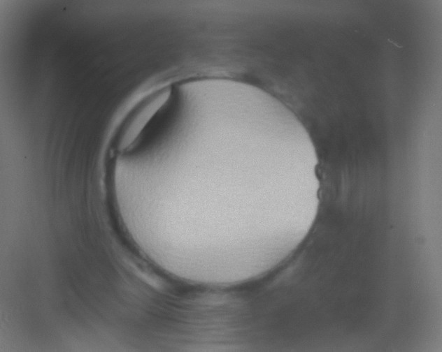 X0000081370246200702082353