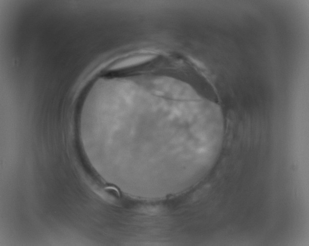 X0000081370247200702082353