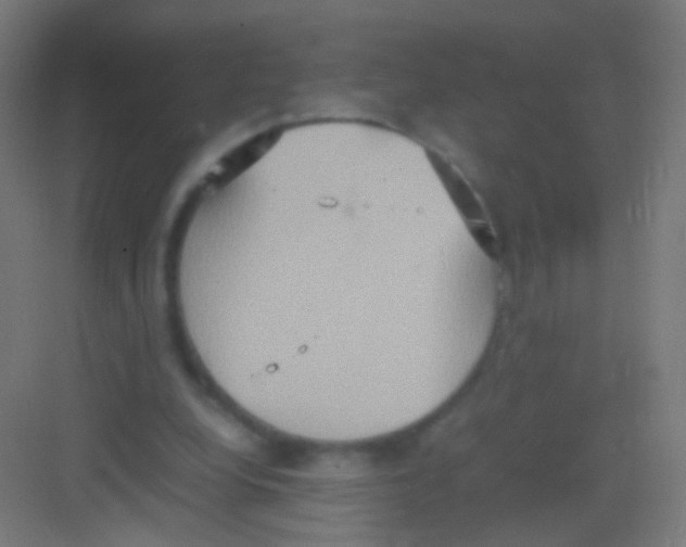 X0000081370248200702082353