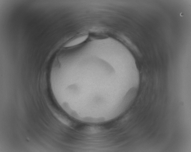 X0000081370250200702082353