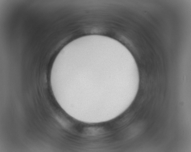 X0000081370251200702082353