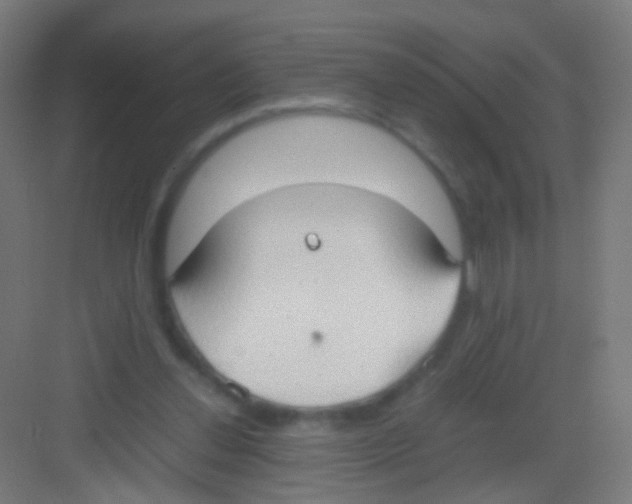 X0000081370252200702082353