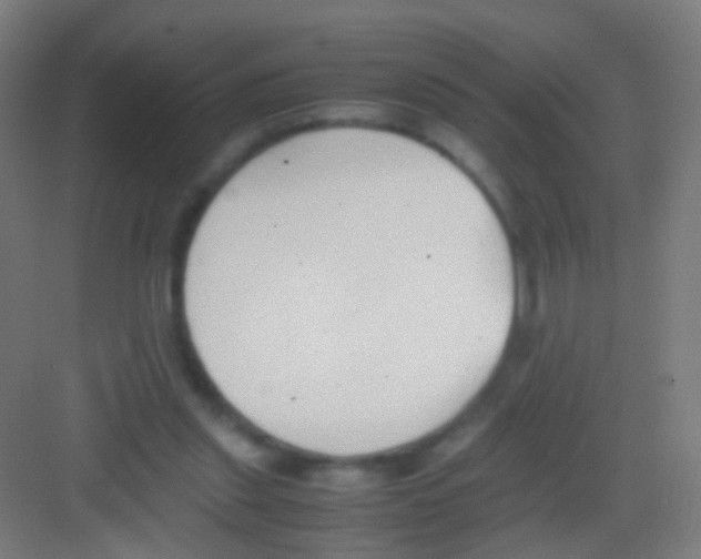 X0000081370253200702082353