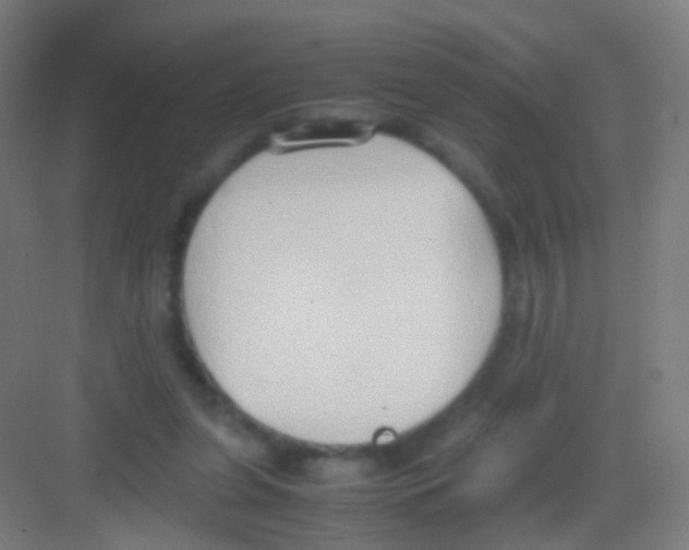 X0000081370255200702082353