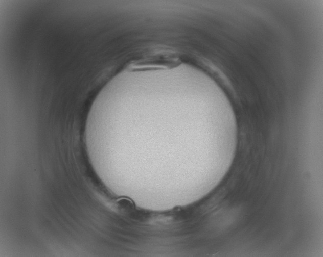 X0000081370257200702082353