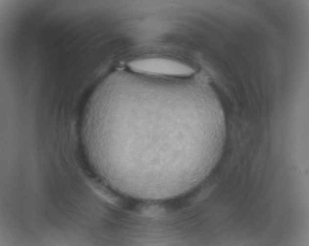 X0000081370258200702082353