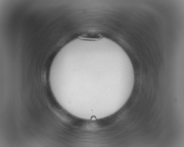 X0000081370262200702082354