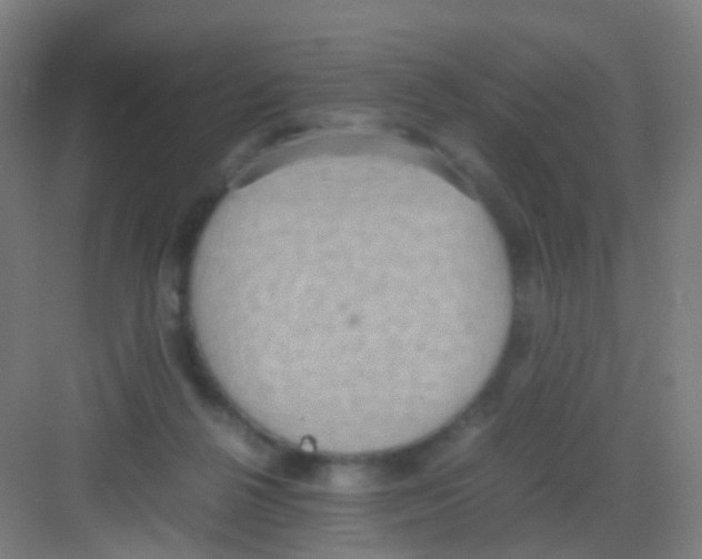 X0000081370264200702082354