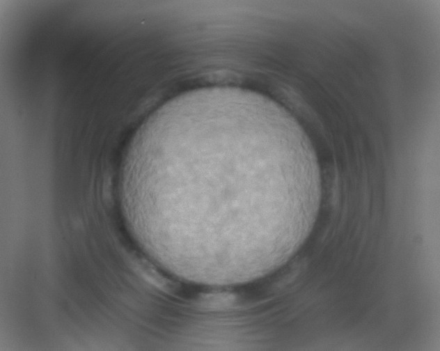 X0000081370266200702082354