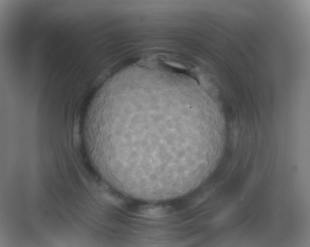 X0000081370267200702082354