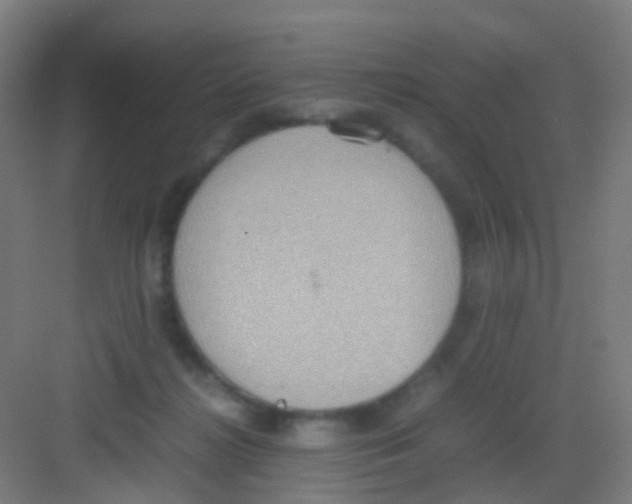 X0000081370268200702082354