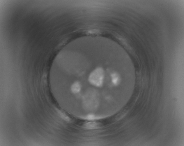 X0000081370269200702082354