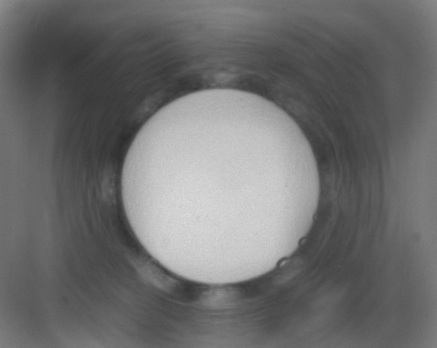 X0000081370274200702082354