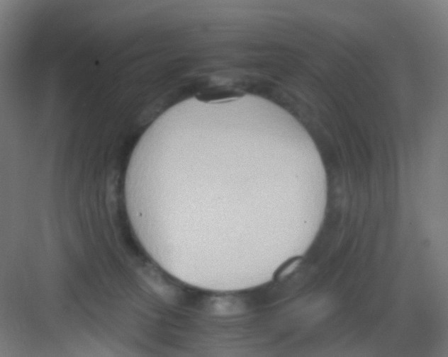 X0000081370275200702082354