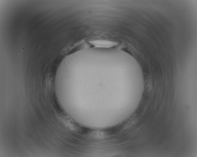 X0000081370276200702082354