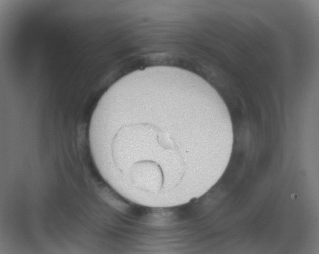 X0000081370278200702082354