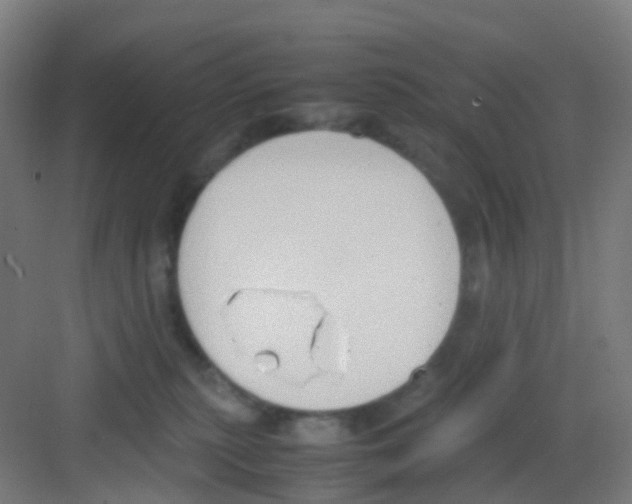 X0000081370279200702082354