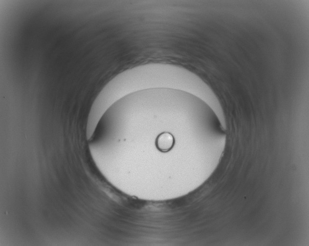 X0000081370280200702082354