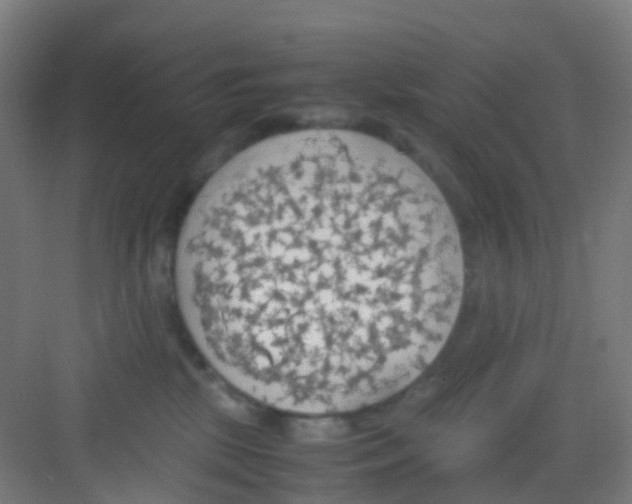 X0000081370281200702082354