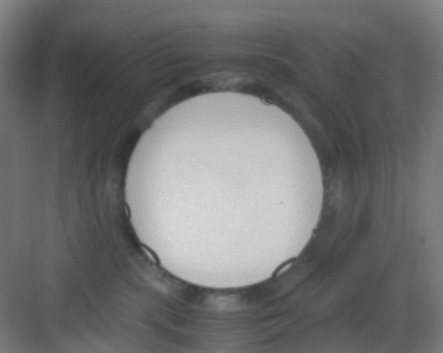 X0000081370283200702082354