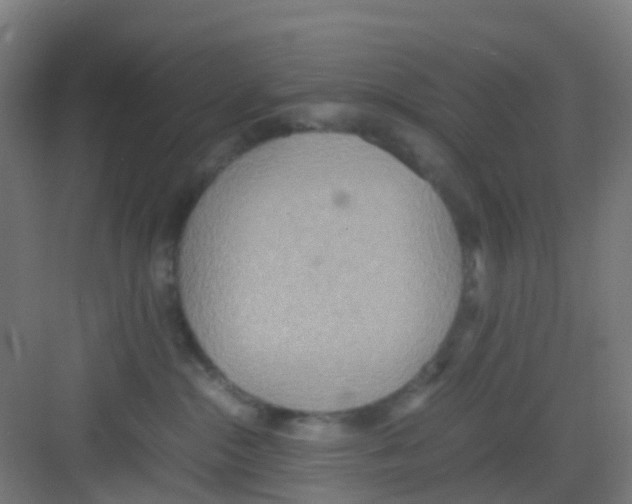 X0000081370284200702082354