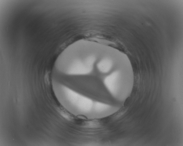 X0000081370286200702082354