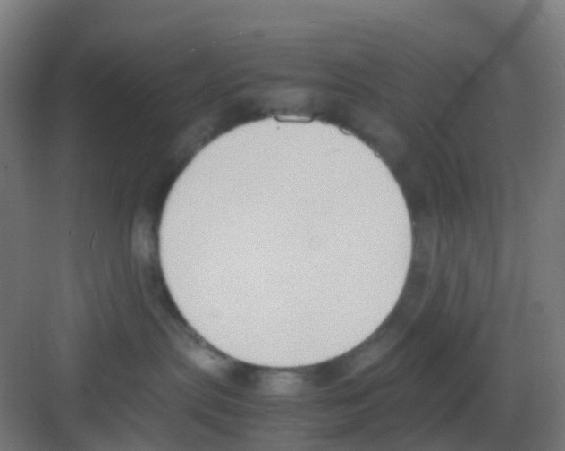 X0000081370287200702082354