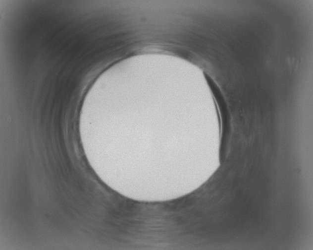 X0000081370289200702082353