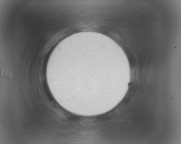 X0000081370291200702082353