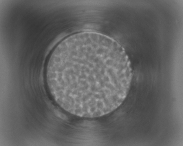 X0000081370292200702082353