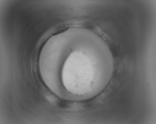 X0000081370293200702082353