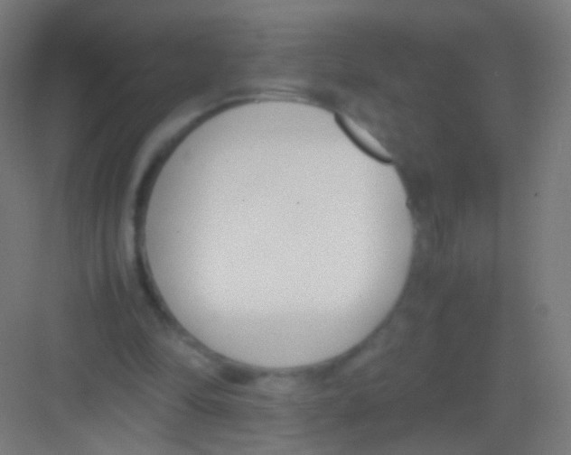 X0000081370294200702082353