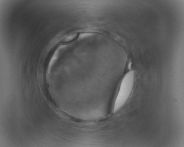 X0000081370295200702082353