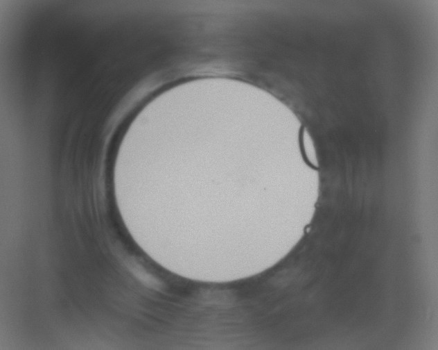 X0000081370296200702082353