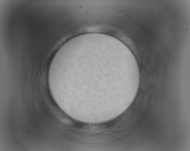 X0000081370297200702082353